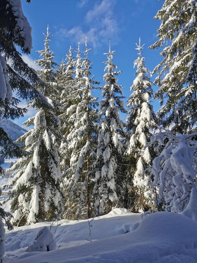 Landhaus St. Georg Sankt Martin am Tennengebirge Dış mekan fotoğraf
